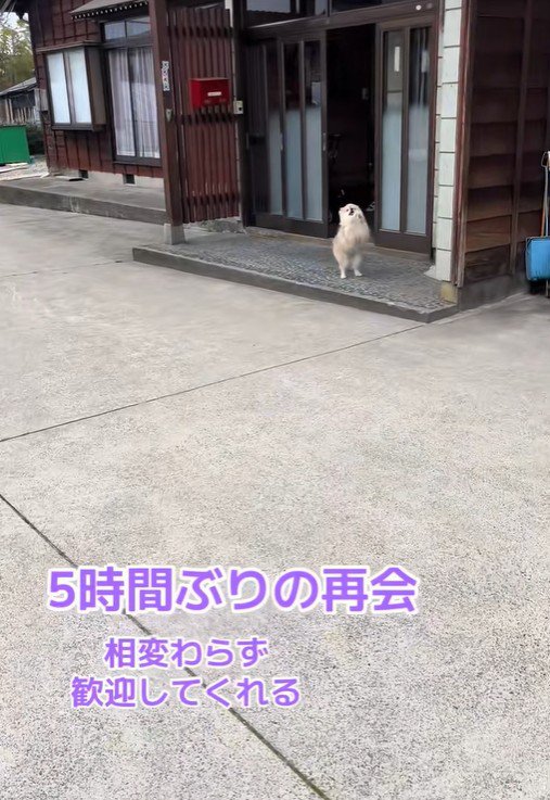 飼い主さんが帰宅したら…
