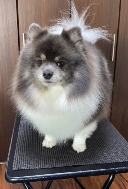 カットしたら痩せて見える？