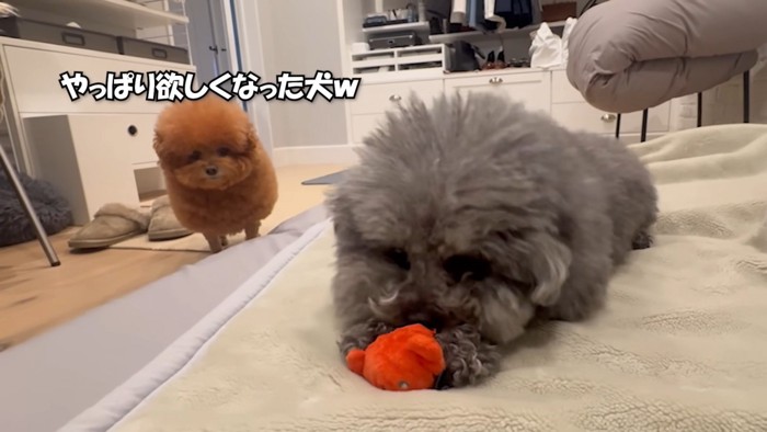 返してほしくてガン見(笑)
