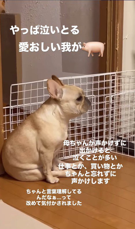 別の日のこむぎちゃん2