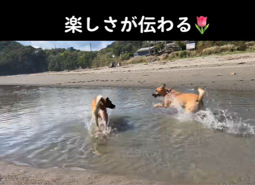 海で大はしゃぎ♪