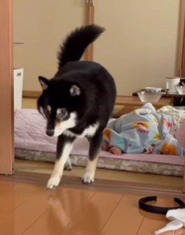 投稿主さんの方をチラリ