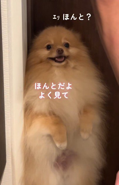 「行かないの?」