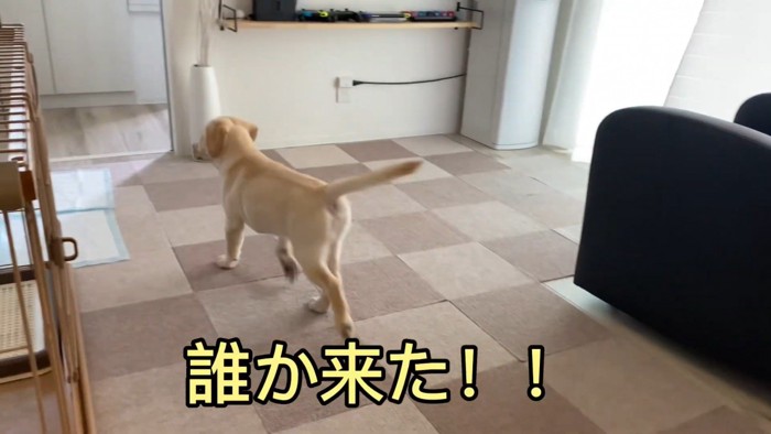 大好きな人との再会を喜ぶ虎丸くん