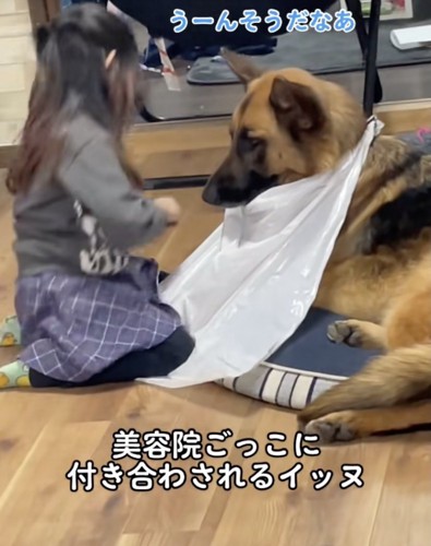 ファジーくん、悩んでる？