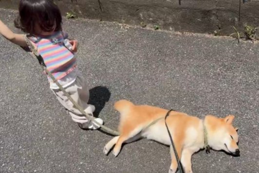 1歳の