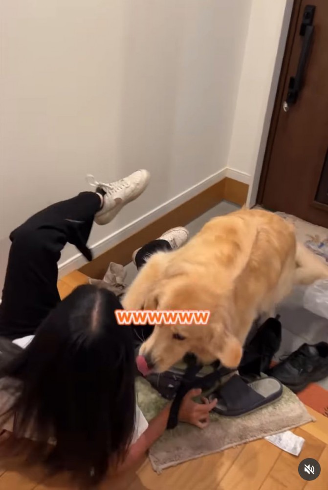 押し倒される女性