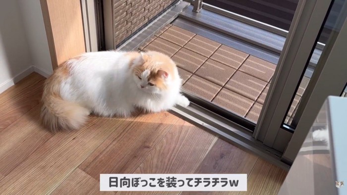 ポテチくんとレモンさんの初対面6