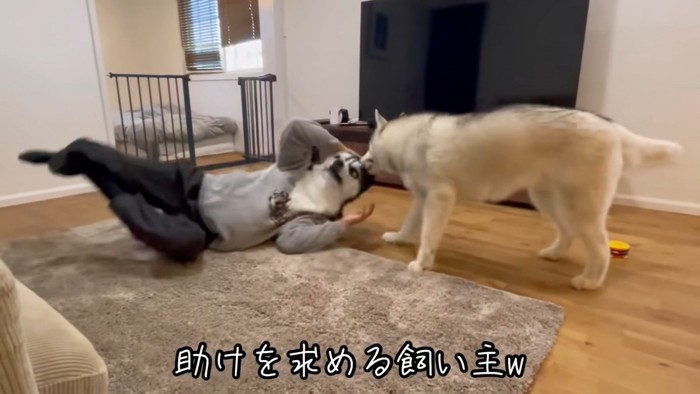 フィンくんVS飼い主さん2