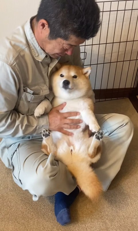 無表情の小雨ちゃんにクスッ