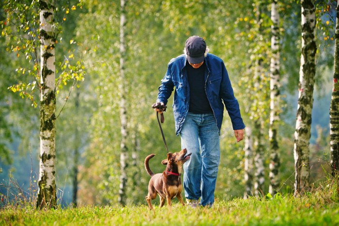 散歩中にアイコンタクトを取る男性と犬