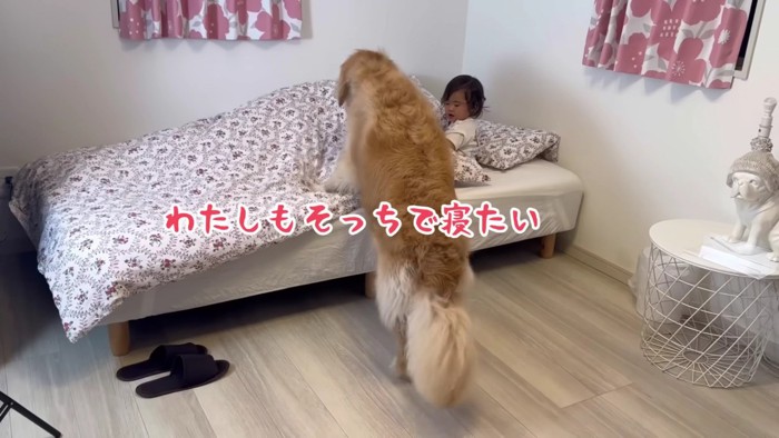 「やっぱりこっち！！」