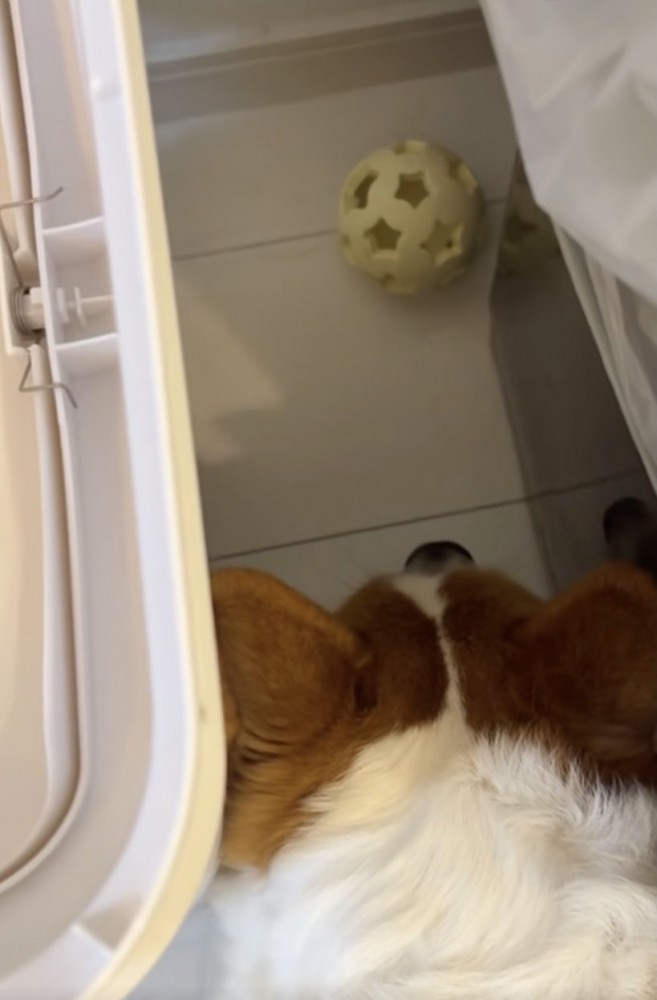 やっぱり届かなさそう。