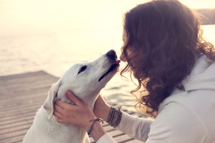 見つめ合う飼い主と犬