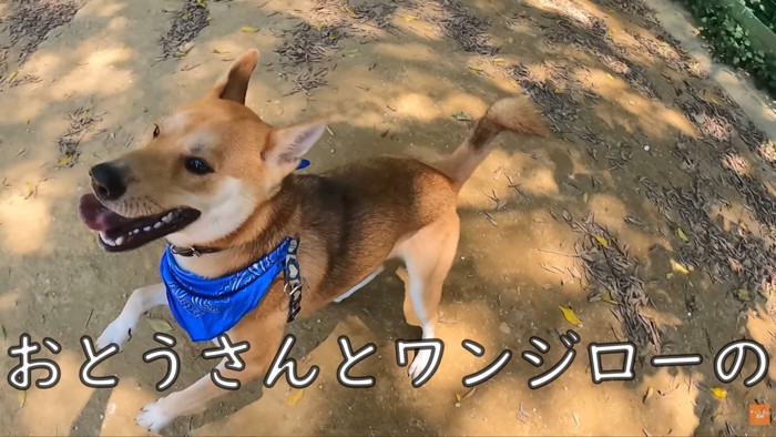 到着したらハイテンションに♪