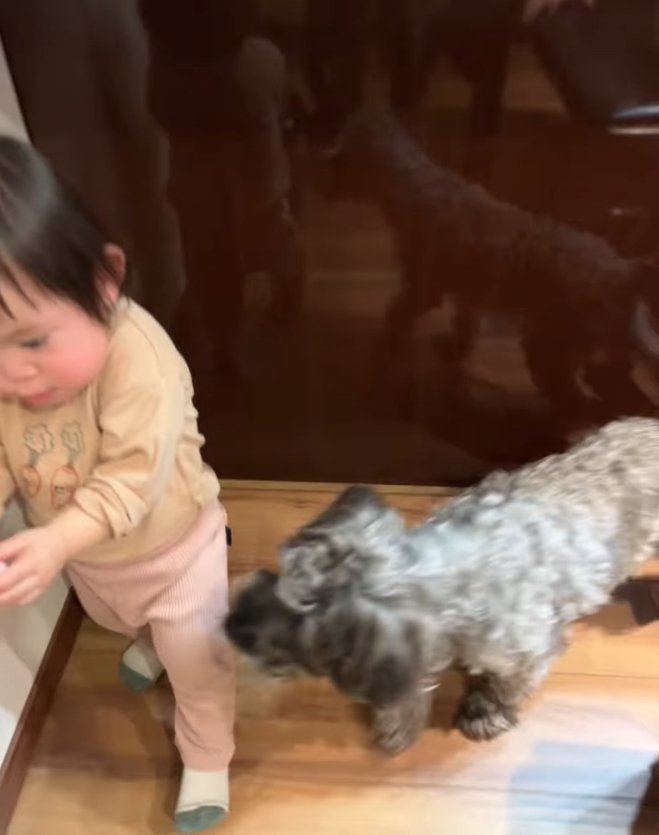 子どもの左後ろにいる犬