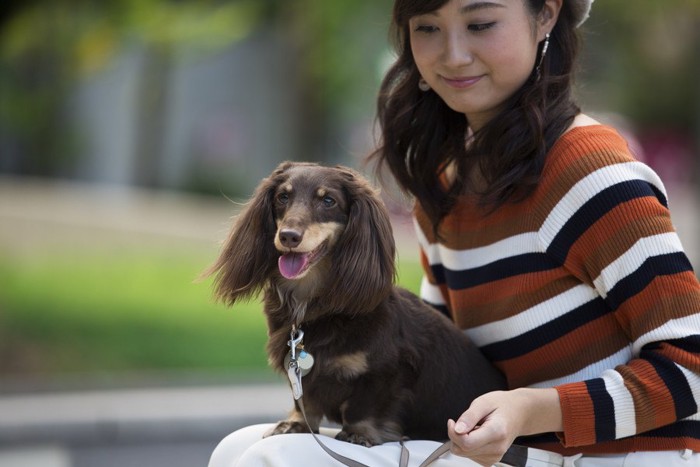 屋外で飼い主の上に座っている犬