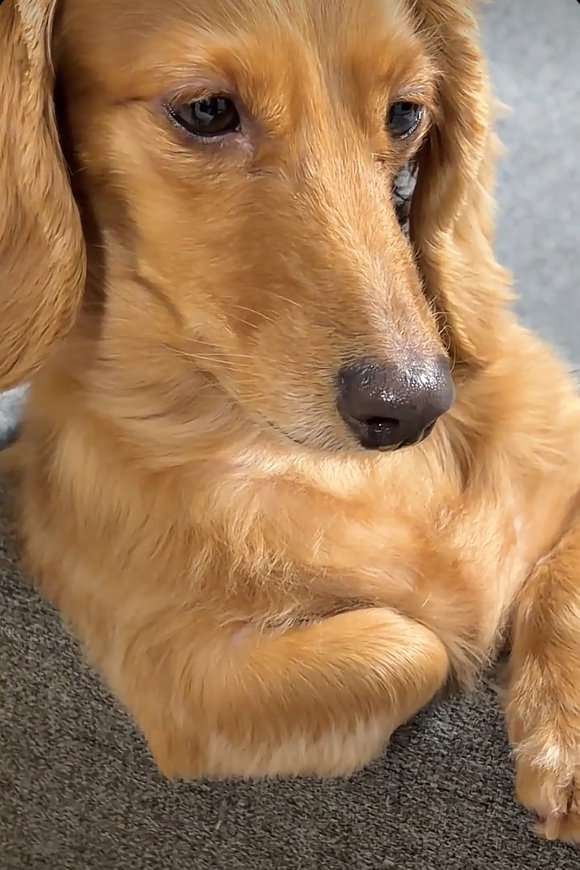 ドアップの凪ちゃん