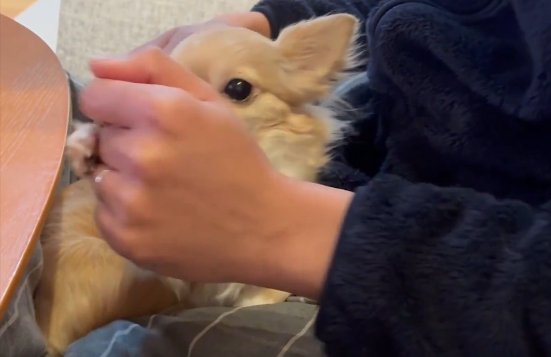 ごはん