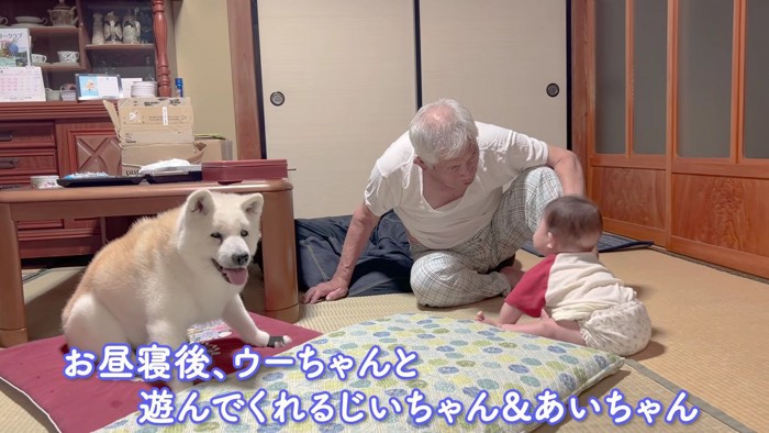 赤ちゃんと遊ぶことも