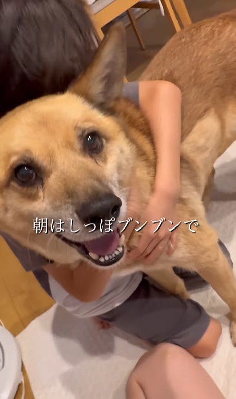 おふとん君の変化9
