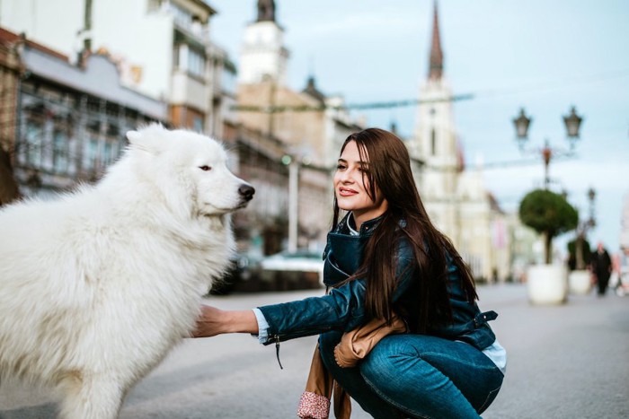 しゃがんで犬を触ろうとする女性