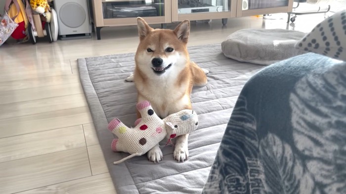 健気な姿にほっこり♡
