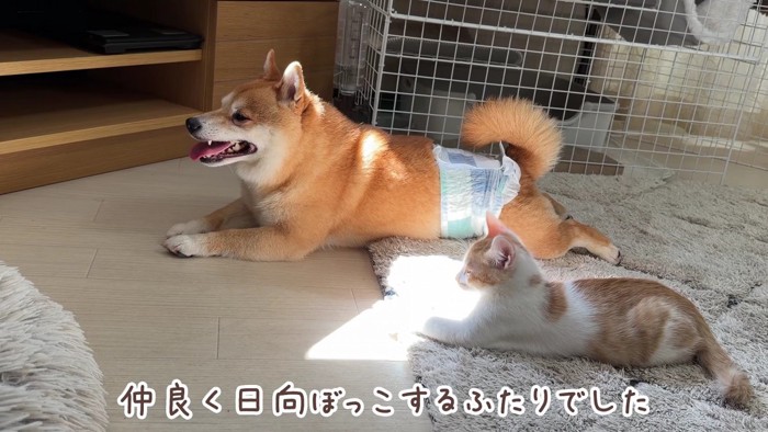 最後は仲良く半分こ♡