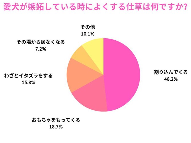 アンケート