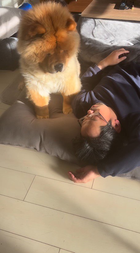 眠っている男性の顔を見つめる犬