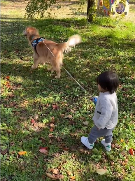歩く男の子と犬1