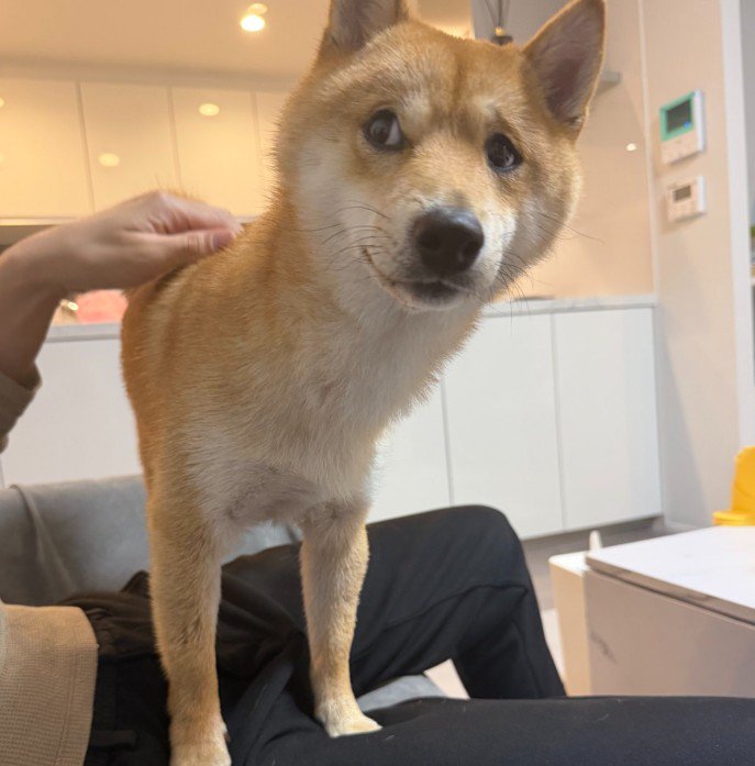 「雨降っとるやん…」