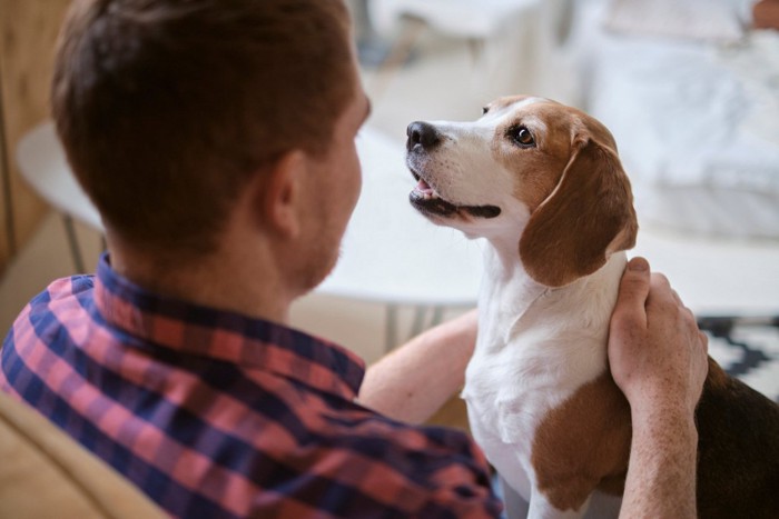 愛犬を撫でる男性