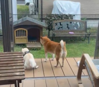 無事