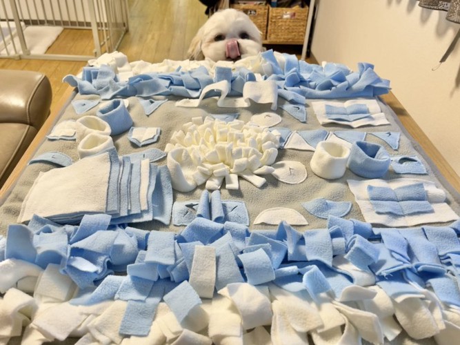 ノーズワーク