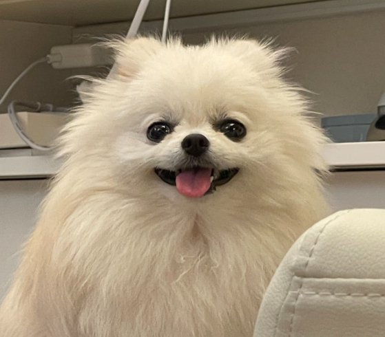 ニコニコ