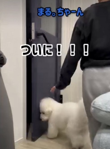 ドアが開く瞬間