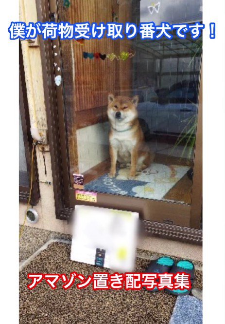 置き配とおいも君