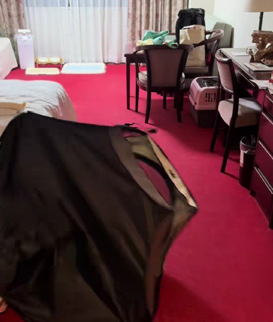 ハムスターの回し車のよう