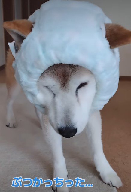 愛情を感じます♡