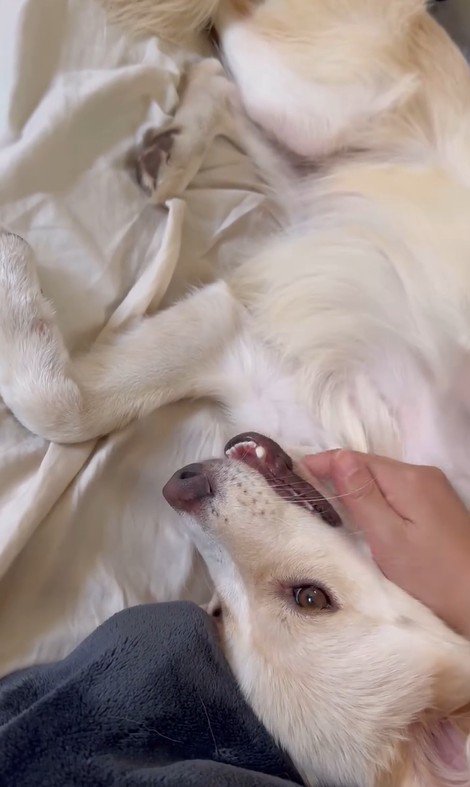 ぼーちゃんの変化7