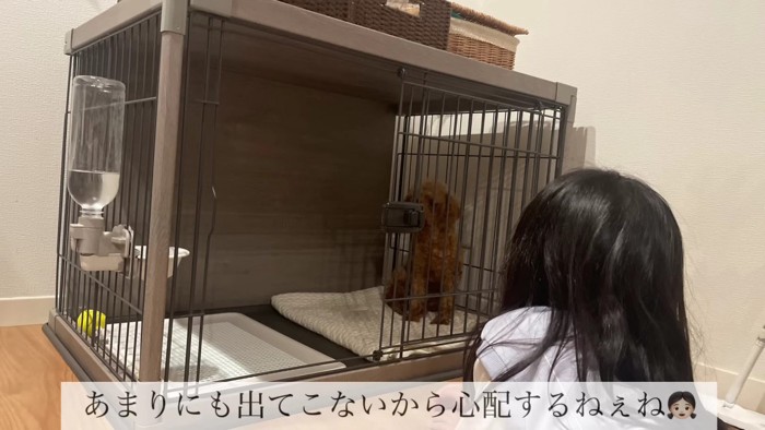 ケージの中だけが安全地帯