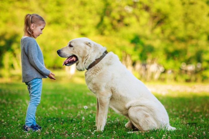 女の子と座っているアラバイ犬