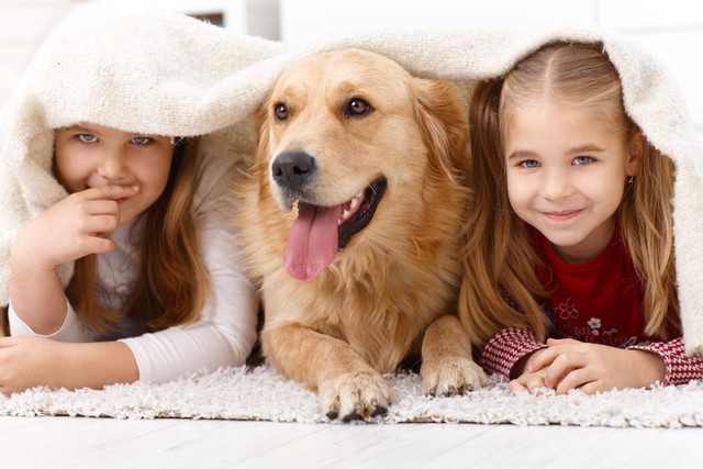 怖がる子犬