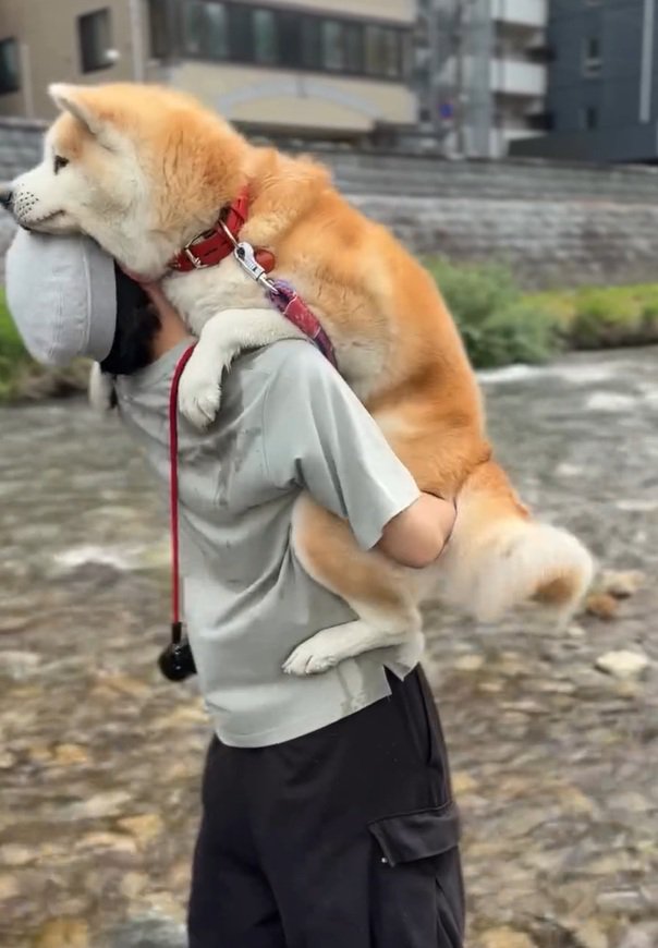 おはるちゃんを抱きなおすパパ