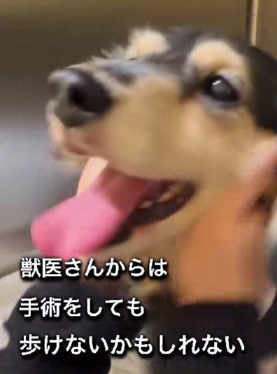 このまま歩けない可能性も…