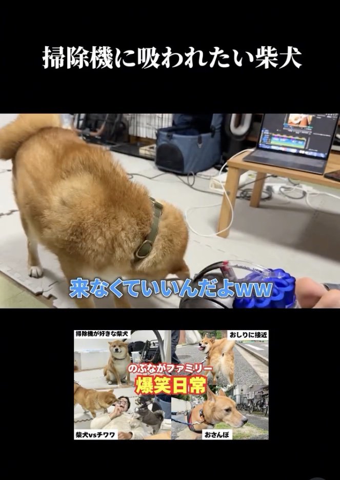 しょんぼり