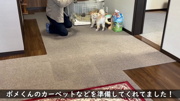 久しぶりの実家に歓喜♪