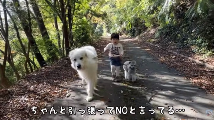 シュシュちゃんをたしなめるろのちゃん