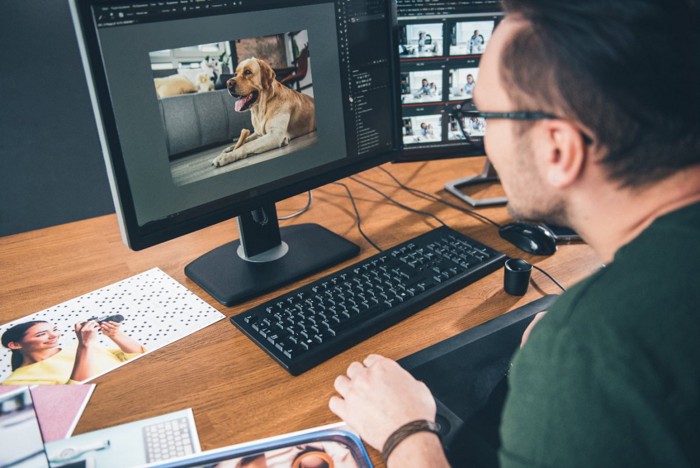 デイスプレイに映った犬を見る男性